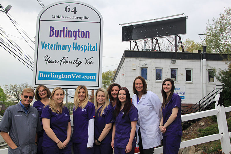 veterinary hospital in Burlington