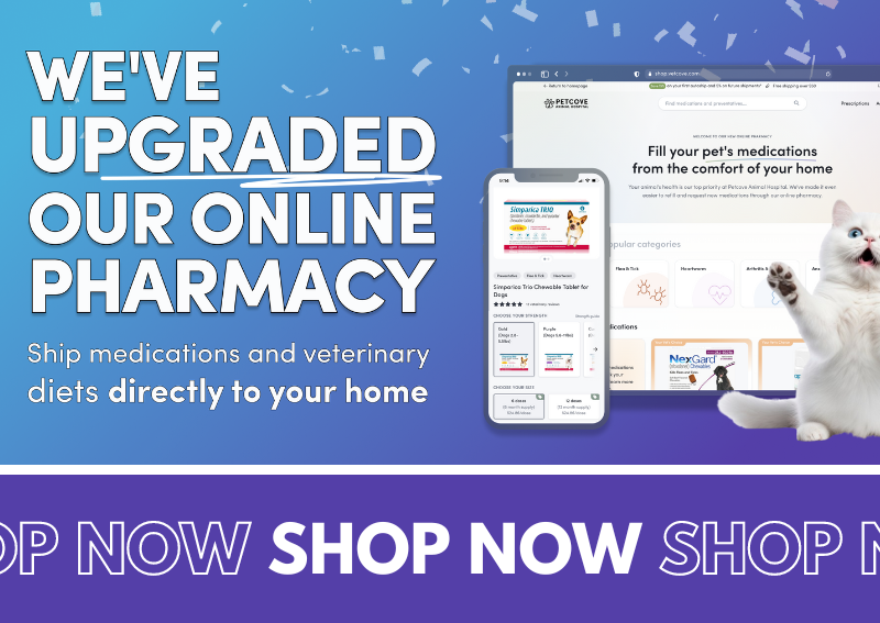 Carousel Slide 2: We've Upgraded our Online Pharmacy!